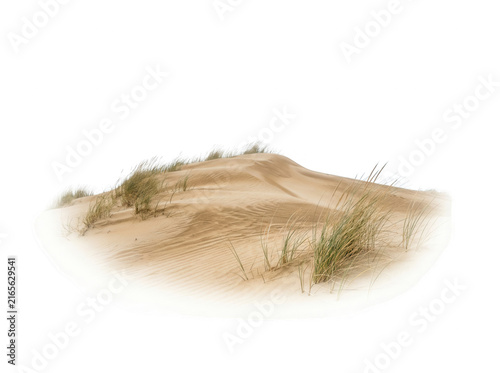 Eine isolierte Sanddüne mit Strandhafer vor einem weißen Hintergrund, ideal für kreative Kompositionen und digitale Bildbearbeitung in der Landschaftsfotografie.