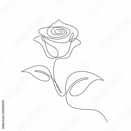 Continuous Line Drawing of Rose Flower with Leaves, Single Line Art Vector Illustration Isolated on White Background