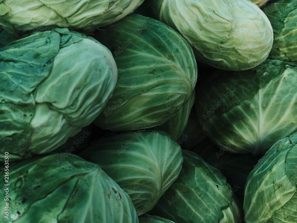 Fototapeta premium Full Frame Close Up View of Fresh Green Cabbage Heads Stacked at Farmers Market Display