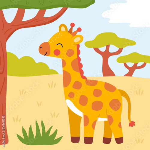 Photography Square cartoon scene with giraffe, acacia tree