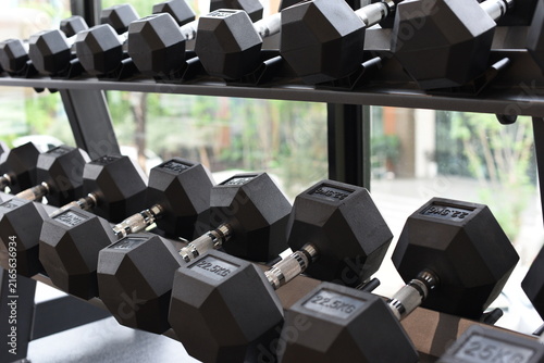 Black dumbbells on two tier storage rack in modern fitness gym