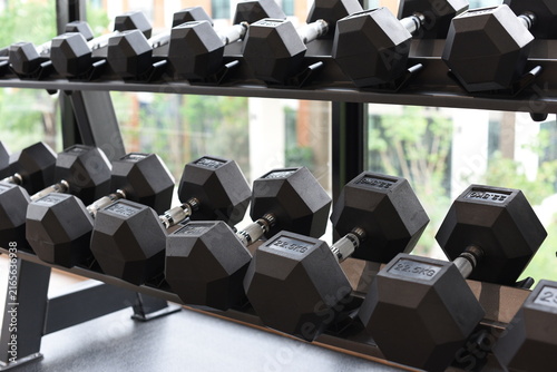 Black dumbbells on two tier storage rack in modern fitness gym