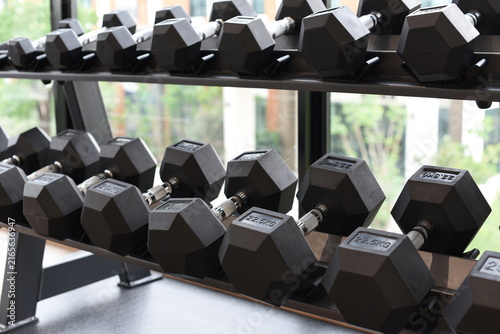 Black dumbbells on two tier storage rack in modern fitness gym