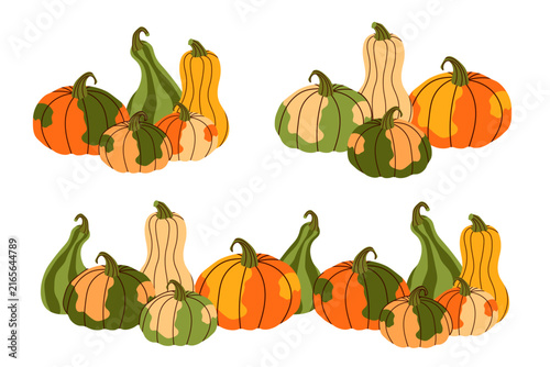 Autumn pumpkin piles and horizontal border set featuring a variety of colorful squashes, gourds, and pumpkins in a flat doodle vector style isolated on a white background.