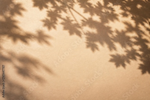 Maple leaf shadows on a warm neutral wall