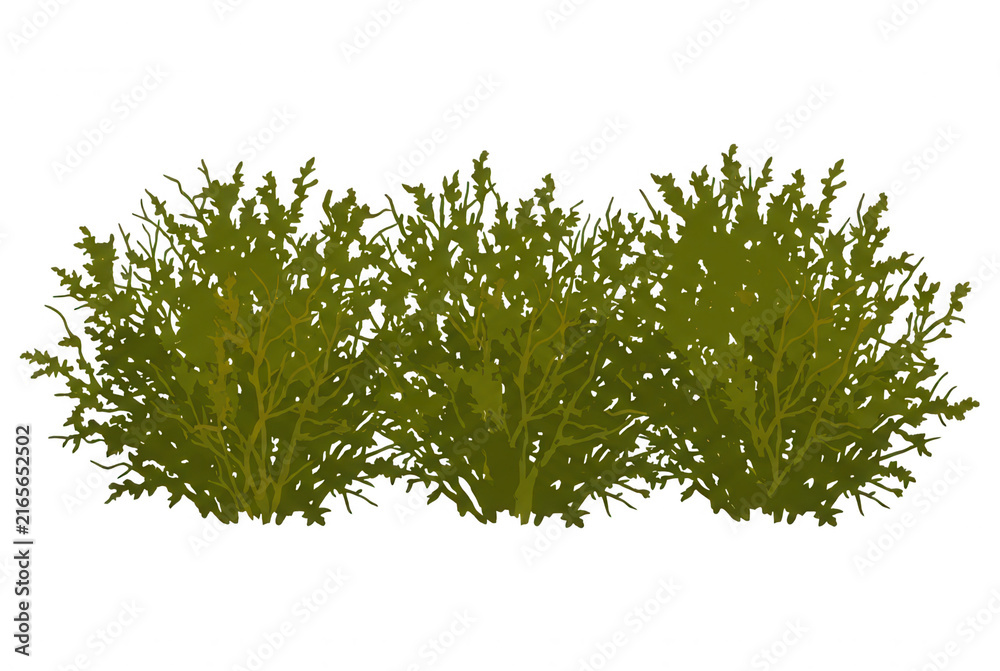 Fototapeta premium Illustrazione vettoriale di un cespuglio verde isolato su sfondo bianco, ideale per progetti di design grafico, architettura del paesaggio e decorazioni naturali.