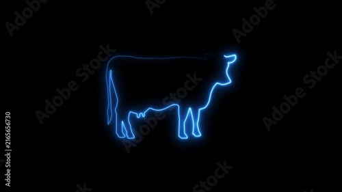 Neon cow outline animation on black background cattle
