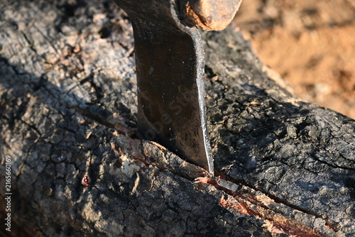 Foto A person using a traditional hand axe to hew a rough wooden log resting