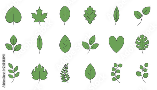 Beautiful minimalist flat green leaves collection representing various plants including maple, oak, monstera, and fern.