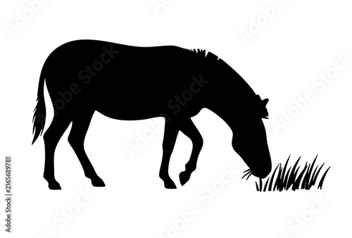 Horse Grazing Silhouette Vector Illustration Isolated on White Background