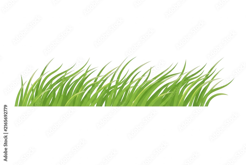 Fototapeta premium Illustrazione vettoriale di un ciuffo di erba verde fresca isolata su sfondo bianco, ideale per design naturalistici, progetti grafici primaverili o elementi decorativi per il web.