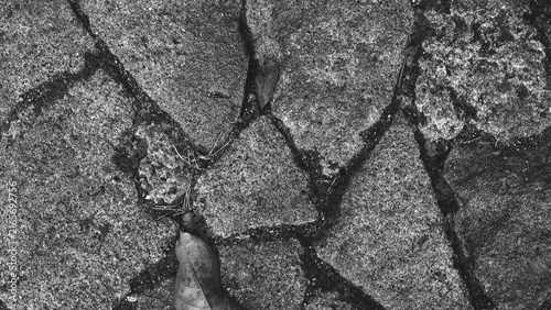 Принти на полотні Monochrome overhead view of irregular stone  with dark cracks, rough surfaces, scattered natural debris, and weathered earthy texture