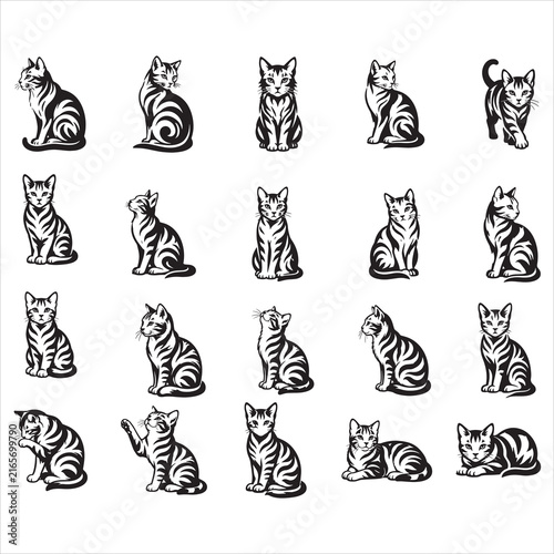 PrintTabby Cat SVG Bundle,cat Svg