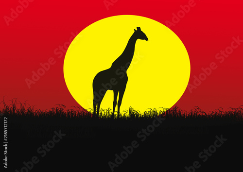 Photography Silhouette of giraffe at sunset with glowing orange sky and grassy savanna horiz