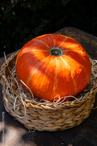 Organic vegetable, harlequin squash, on a wooden table outdoors in summer