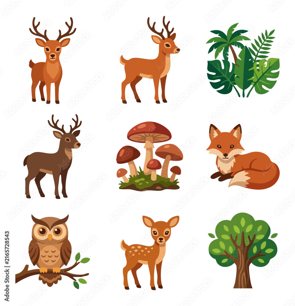 Fototapeta premium Forest wildlife and flora elements collection flat design