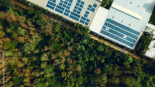 Fotografía Solar panels on a factory rooftop surrounded by dense green forest
