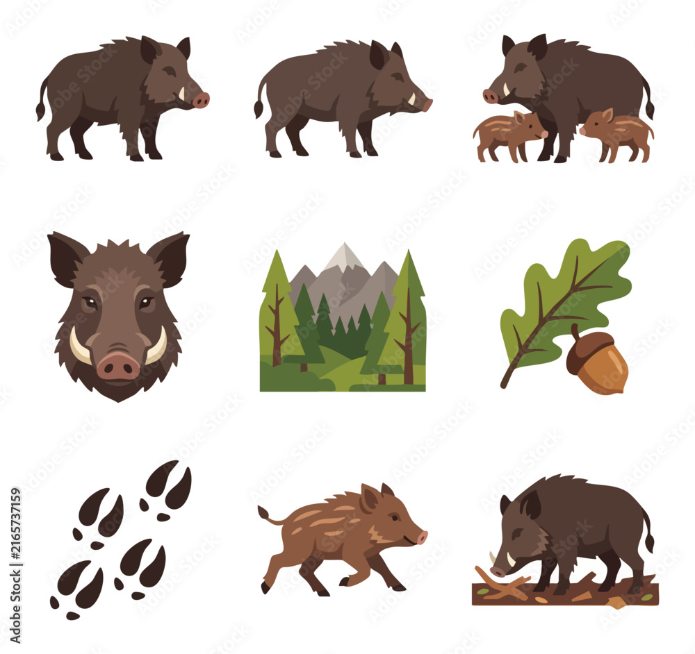 Naklejka premium Wild boar animal forest nature landscape elements vector illustration