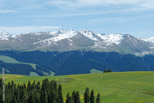 Quadro su tela Snowy Mountains Above Kalajun Grassland in Ili, Xinjiang