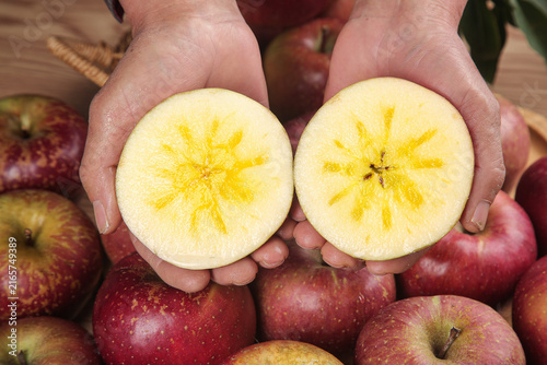 Canvas Print Fresh Daliangshan Sweetheart Apples Cut in Half Showing Star Pattern Core from Y