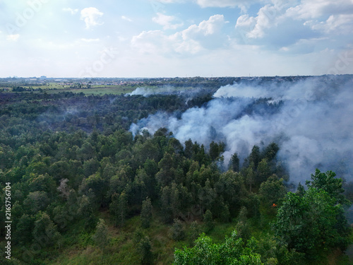 Aerial view of smoke billowing over a forest in Banjarbaru, South Kalimantan, Indonesia.