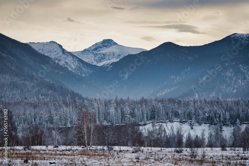 White Silence Stretching Forever North