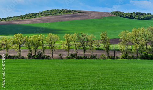 Rolling green agricultural fields in South Moravia, Czech Republic, known as the Moravian Tuscany, with gently undulating hills, crop patterns, tree lines and a picturesque rural landscape.