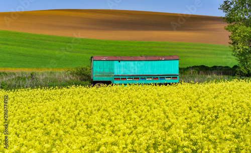 Rolling green agricultural fields in South Moravia, Czech Republic, known as the Moravian Tuscany, with gently undulating hills, crop patterns, tree lines and a picturesque rural landscape.
