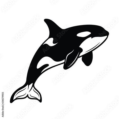 Black and white graphic illustration of a jumping killer whale or orca sea animal