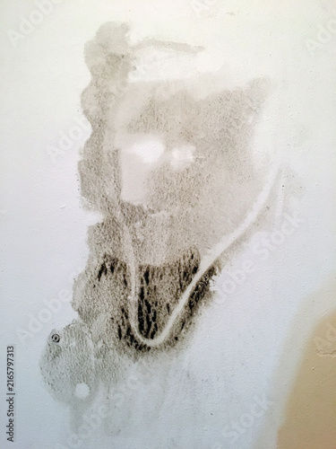 Mold and Damp Damage on Wall