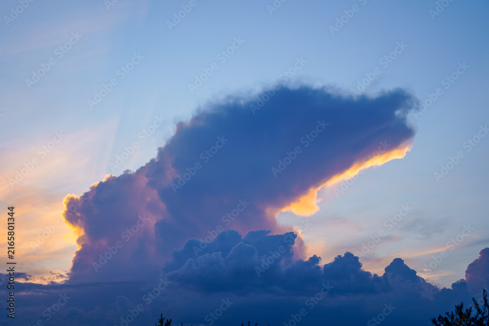 Fototapeta premium Bear shape cloud forming during golden hour sunset
