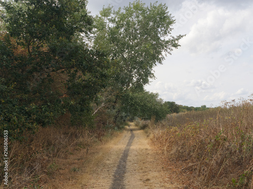 Obraz na plátně Dry Footpath Through Late Summer Scrubland