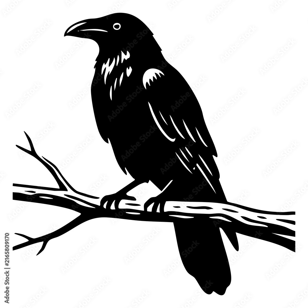 Fototapeta premium A black crow bird sitting on a wooden tree branch in a simple graphic illustration style for nature designs