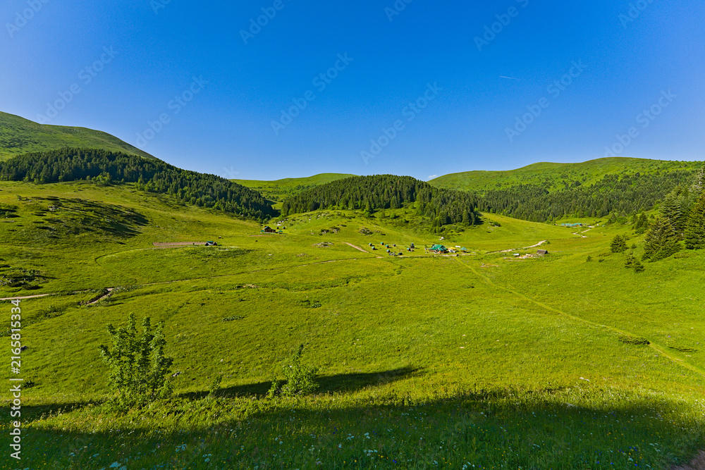 Obraz premium Scenic view of a lush green mountain meadow In Biogradksa Gora National Park