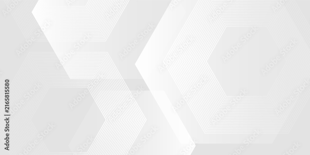 Obraz premium Minimal White Abstract Background with Good Subtle Hexagonal Line Pattern. Digital future technology concept.