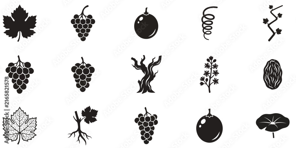 Naklejka premium Set of black and white grape vine icons featuring leaves fruit branches and vineyard elements for design