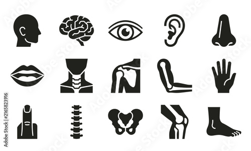 Set of black and white human body part icons representing anatomy and medical health concepts