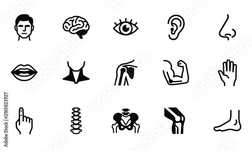 Set of geometric human body parts icons representing anatomy and medical concepts in a clean minimalist style