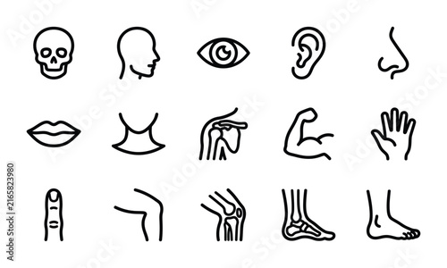 Set of human anatomy icons featuring various body parts and organs in a clean line art style