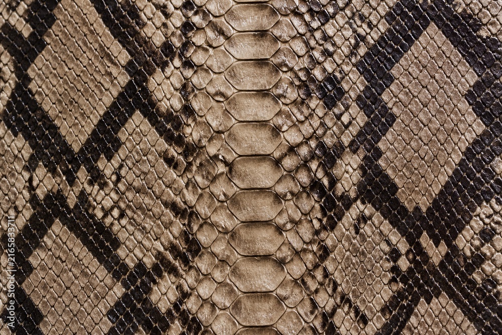 Fototapeta premium Close-up of snake skin texture, earthy tones, detailed scales. Patterned with geometric shapes, natural camouflage. Muted browns and blacks create a rustic, organic look. Suitable for design, fashion