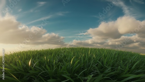 Green grass on blue clear sky, spring nature theme. Panorama