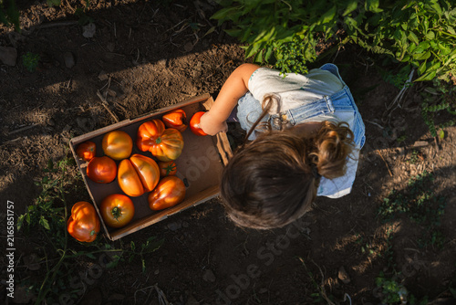 Sunlit garden, child crouches near crate