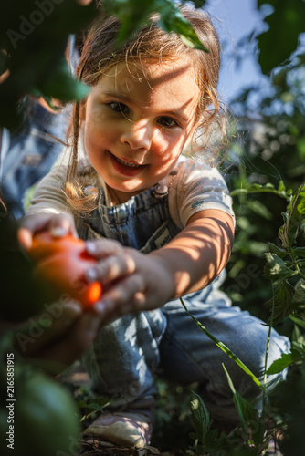 Young girl smiles, holding a red tomato