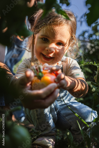 Sunlit child smiles, holding fresh tomato