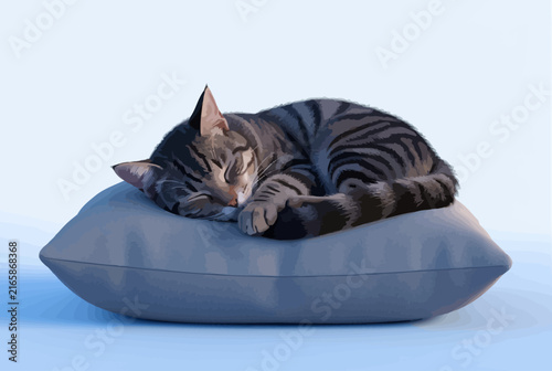 Sleeping Tabby Cat on Blue Cushion.