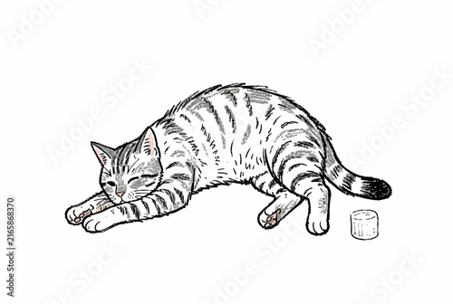 Sleeping Tabby Cat Hand Drawn Sketch Illustration.