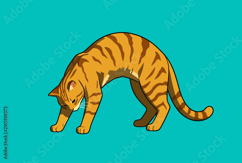 Striped Tiger Bending Down Side View Illustration.