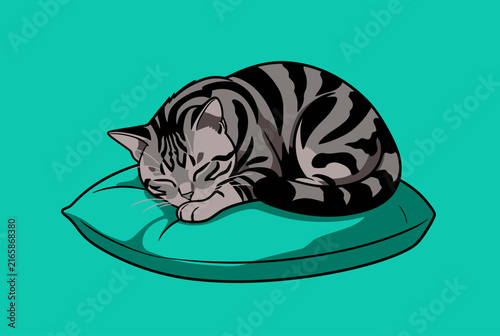 Sleeping Tabby Cat on Cushion Illustration.
