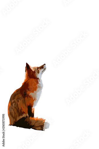Принти на полотні Red fox sitting and looking up with a furry tail isolated on transparent backgro