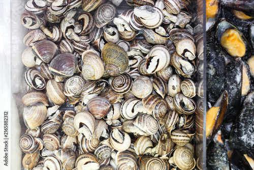 Fotografía Edible snails cover seafood counter